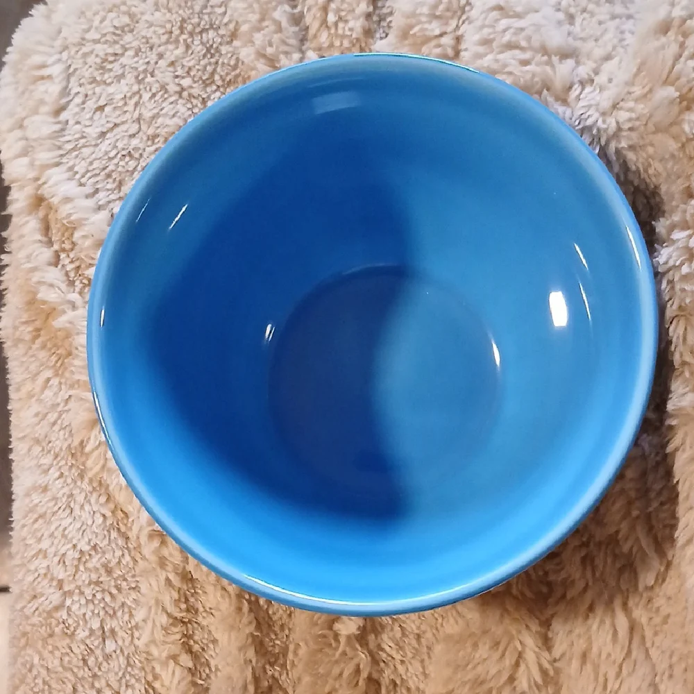 Starbucks Colorful Ceramic Bowls Set